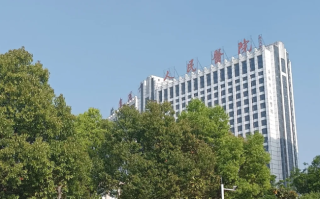 雅安找人代替抽血阜阳入职体检服务
