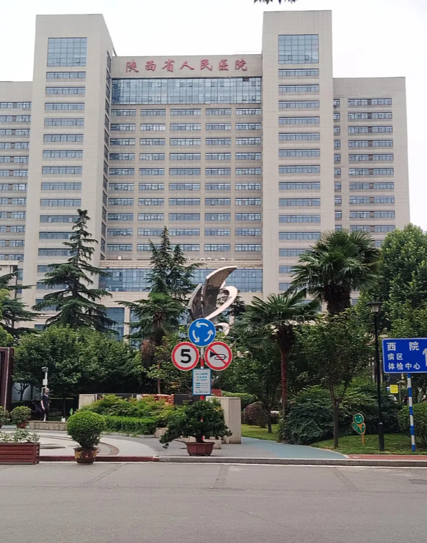 雅安找人代替抽血西安体检服务-第1张图片-代解忧