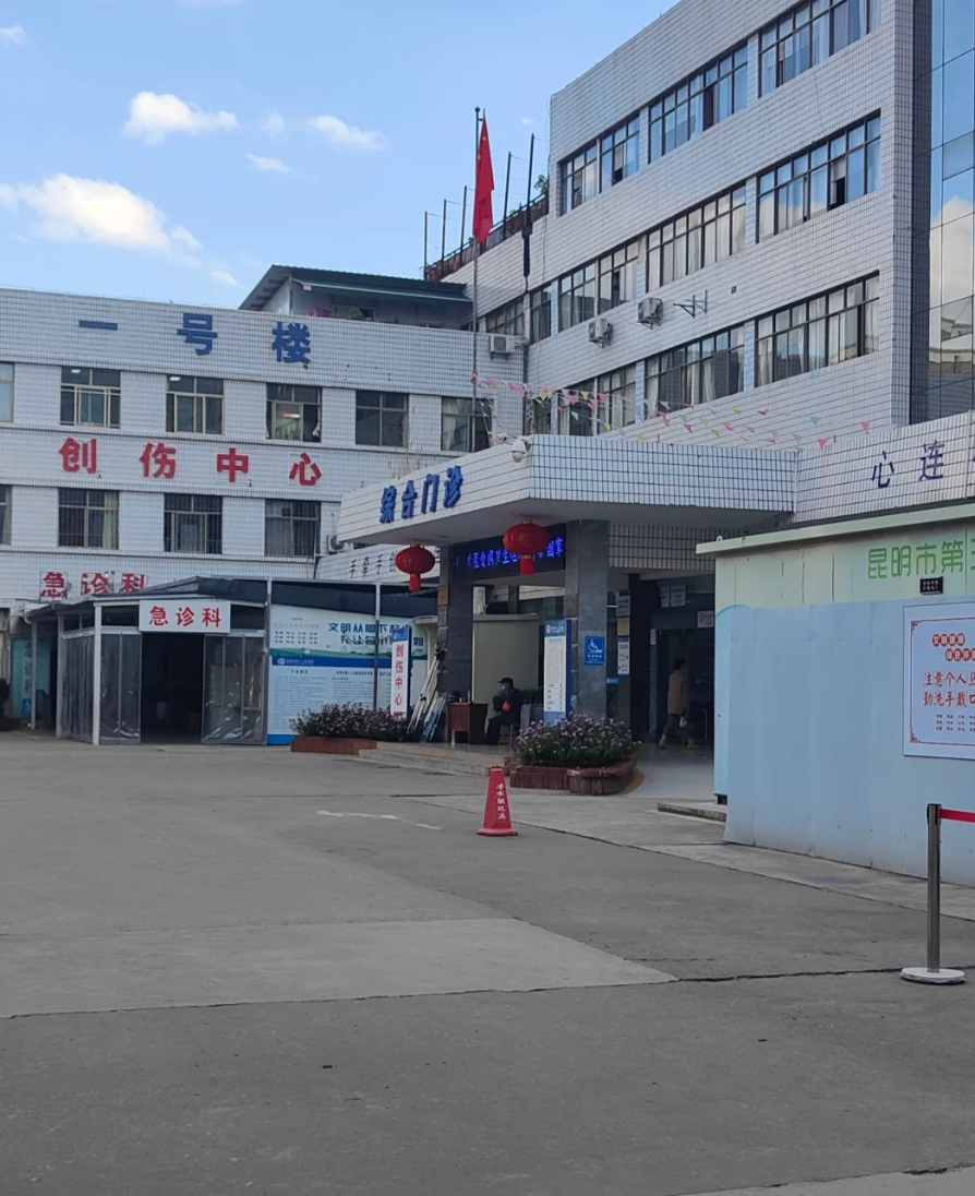 雅安找人代替抽血昆明入职体检服务-第1张图片-代解忧