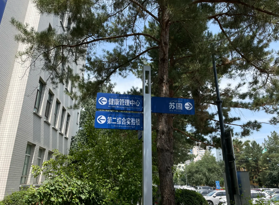 雅安找人代替抽血乌鲁木齐入职体检服务-第1张图片-代解忧