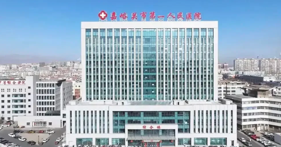 雅安找人代替抽血嘉峪关入职体检服务-第1张图片-代解忧