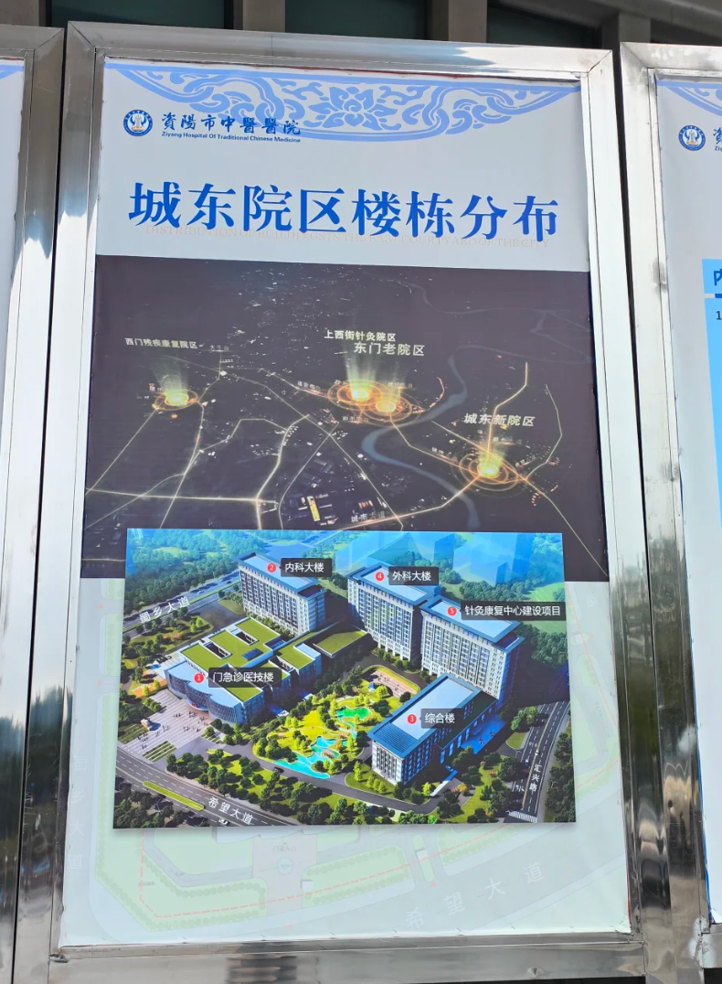 雅安找人代替抽血资阳入职体检服务-第1张图片-代解忧